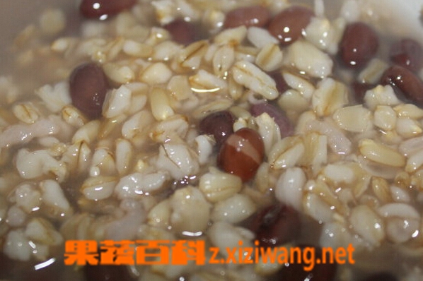 果蔬百科红豆燕麦粥