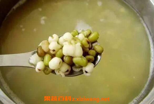 怎么煮绿豆粥 绿豆粥的家常做法