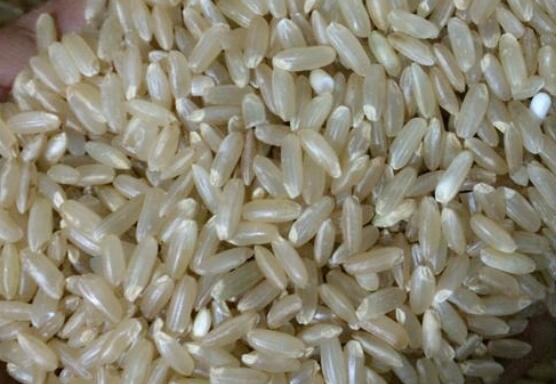 发芽糙米的功效与作用 发芽糙米的害处