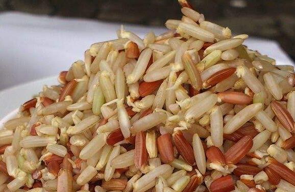 发芽糙米的功效与作用
