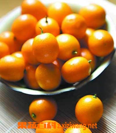 果蔬百科腌柑橘的方法技巧