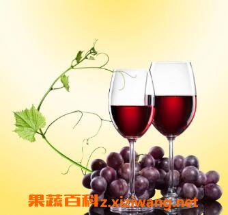 葡萄酒与什么食物相克