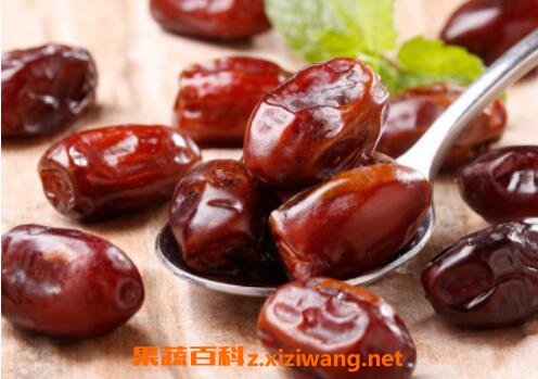 黄金椰枣的功效与作用