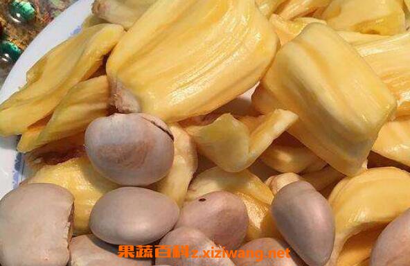 菠萝蜜的核怎么吃 菠萝蜜核的营养价值